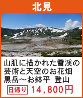 山肌に描かれた雪渓の芸術と天空のお花畑 黒岳～お鉢平 登山 日帰り