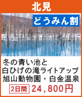 冬の青い池と白ひげの滝ライトアップと旭山動物園・白金温泉 2日間