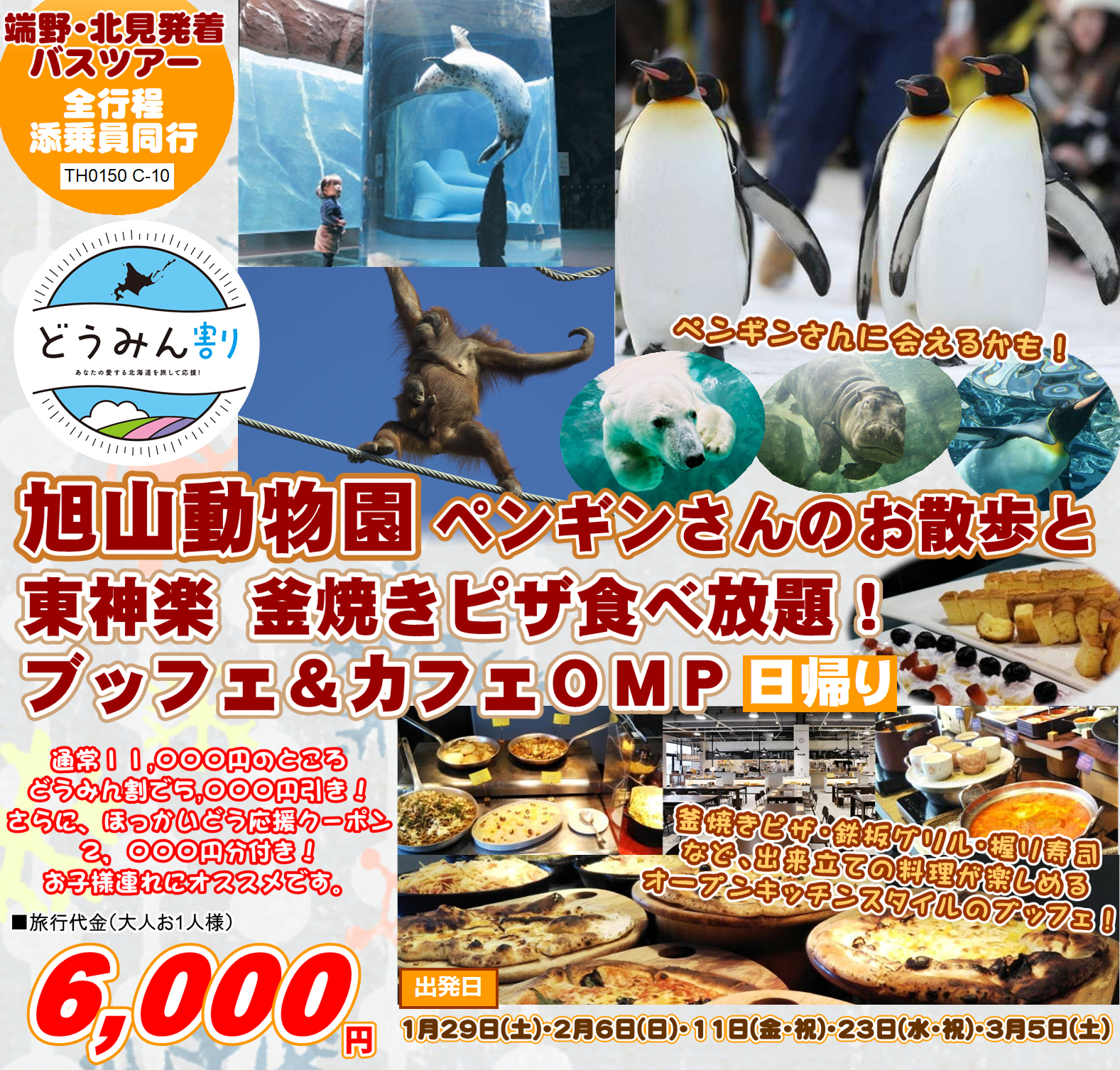 旭山動物園ペンギンさんのお散歩と東神楽 釜焼きピザ食べ放題！ブッフェ＆カフェOMP 日帰り