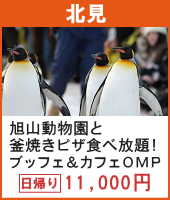 旭山動物園ペンギンさんのお散歩と東神楽 釜焼きピザ食べ放題！ブッフェ＆カフェOMP 日帰り