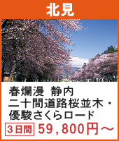 春爛漫 静内二十間道路桜並木・優駿さくらロードと富良野・とかち 桜の名所めぐり 3日間