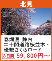 春爛漫 日高路の恵み～絶品料理をいただく！静内二十間道路桜並木と優駿さくらロード 2日間