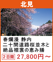 春爛漫 静内二十間道路桜並木と絶品襟裳の恵み膳 帯広川堤さくら並木・優駿さくらロード 2日間