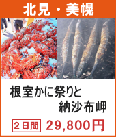 根室かに祭りと納沙布岬 2日間
