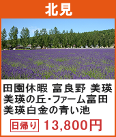 田園休暇 富良野・美瑛 美瑛の丘・ファーム富田・美瑛白金の青い池 日帰り