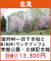 塩狩峠一目千本桜と北海道スカイテラスMINORIのランチブッフェ 常盤公園・千鳥ヶ池・北鎮記念館 日帰り