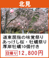 道東屈指の味覚祭り あっけし桜・牡蠣祭り 日帰り
