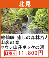錦仙峡 癒しの森林浴と山彦の滝 マウレ山荘ポッケの湯 日帰り