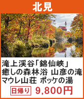 滝上渓谷「錦仙峡」散策とホテル渓谷 秋の味覚 松花堂弁当 日帰り