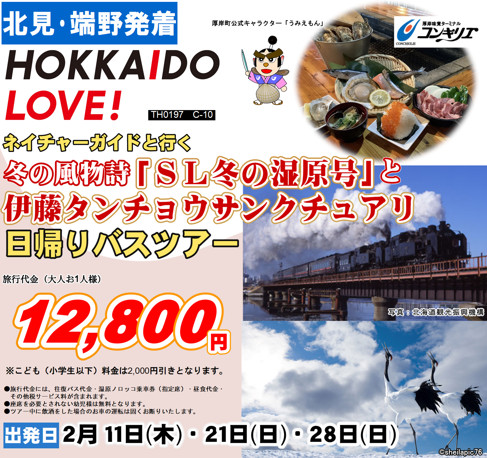 冬の風物詩「SL冬の湿原号」と伊藤タンチョウサンクチュアリ 日帰り