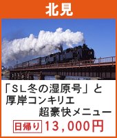 冬の風物詩「SL冬の湿原号」と厚岸コンキリエ超豪快メニュー 日帰り