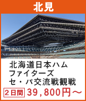 エスコンフィールドHOKKAIDO 北海道日本ハムファイターズ セ・パ交流戦 観戦ツアー 2日間