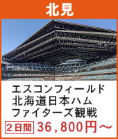 エスコンフィールドHOKKAIDO 北海道日本ハムファイターズ観戦ツアー 2日間