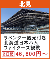 ファーム富田のラベンダー観光付き！アパホテル＆リゾート札幌に泊まる！北海道日本ハムファイターズ観戦ツアー 2日間