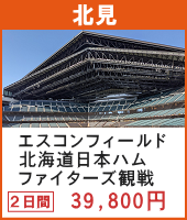 エスコンフィールドHOKKAIDO 北海道日本ハムファイターズ観戦ツアー 2日間