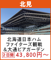 エスコンフィールドHOKKAIDO 北海道日本ハムファイターズ観戦ツアー＆2025さっぽろ夏祭り！大通ビアガーデン 2日間