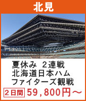 夏休み エスコンフィールドHOKKAIDO 北海道日本ハムファイターズ 2連戦観戦ツアー 2日間