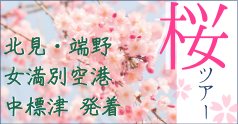 桜 お花見ツアー