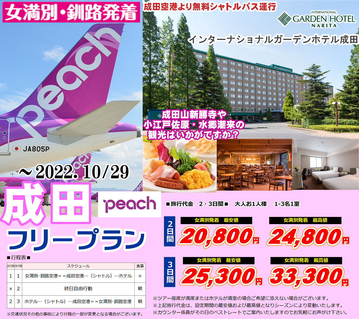 Peach 成田フリープラン インターナショナルガーデンホテル成田