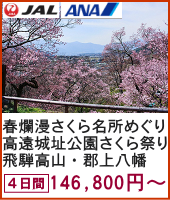 春爛漫 さくら名所めぐり 高遠城址公園さくら祭りと飛騨高山 郡上八幡・岐阜城・熱田神宮と昼神温泉 4日間