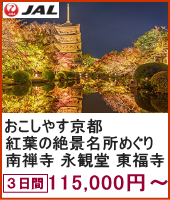 おこしやす京都 紅葉の絶景名所めぐり 南禅寺・永観堂・哲学の道・東福寺 3日間