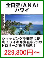 全日空利用　ハワイ